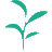 Senchabot Favicon